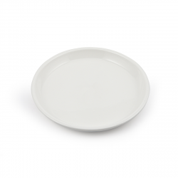 Porceletta Ivory Porcelain Round Flat Plate 9