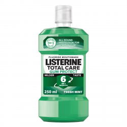 Listerine Teeth Gum 250ml