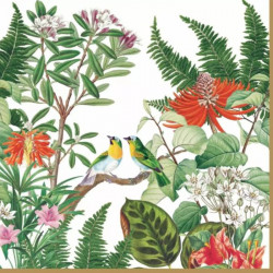 Easy Life Exotica Paper Napkin Set - Multicolored  20-Piece