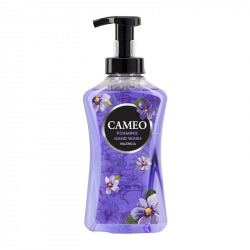 Cameo Foaming Hand Wash Fenelsia 500ml