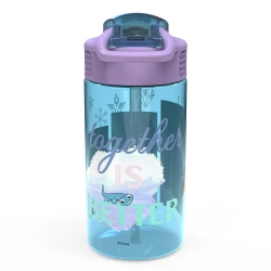 Zak Designs  Purple Frozen Plastic Water Bottle with Straw Lid 16 oz