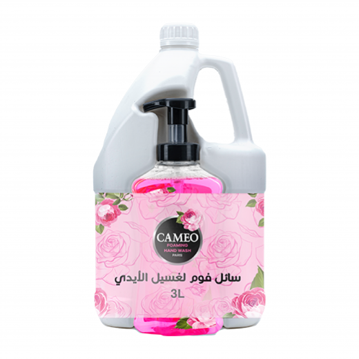 Cameo hand washing liquid Paris instant foam 3 liters + Cameo 500 ml