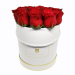 Classic Rose Flower, White Box, Large Size