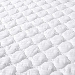 Cannon Matress Protector Pad, White Color, Size 100x200