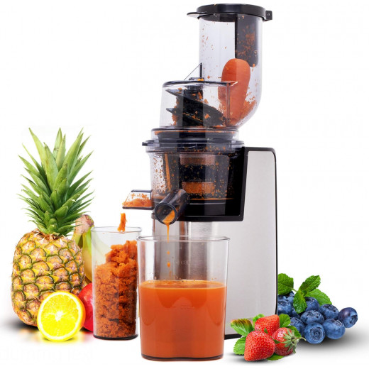 GEEPAS Slow Juicer 200w