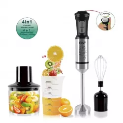 RAF hand Blender 600W with Set