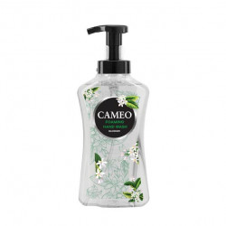 Cameo Foam Hand Wash Liquid, Instant Foam, Blossom Scent, 500 ml