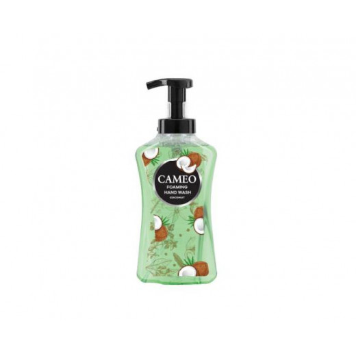 Cameo Foam Hand Wash Liquid, Instant Foam, Coconut Scent, 500 ml