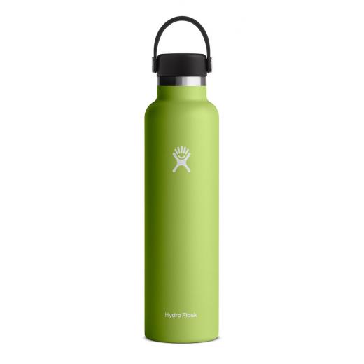 Hydro Flask 24 oz Standard Mouth Bottle in Agave