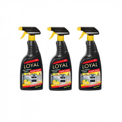 Loyal Multipurpose Cleaner Grease Remover, 750 Ml, 3 PACKS