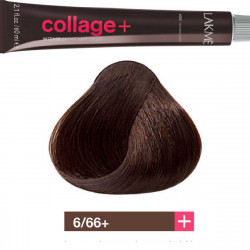 Lakme Collage Hair Dye 60 ml 6/66