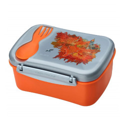 Carl Oscar Runes Wisdom Lunch box with cooling cover -Orange