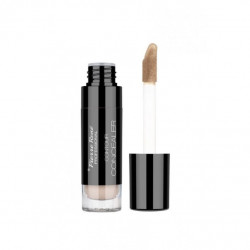 Pierre Rene Contour Concealer No.4