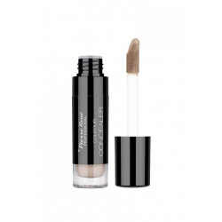 Pierre Rene Contour Concealer No.5