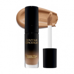 Concealer Pierre Rene Contour 09