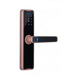 Smart Lock 610SP, F/C TUYA WIFI, Copper