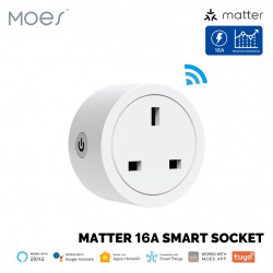 Moes Smart Matter Plug