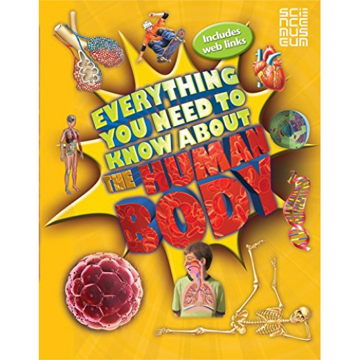 Everything You Need To Know About The Human Body (Everything You Need to Know)