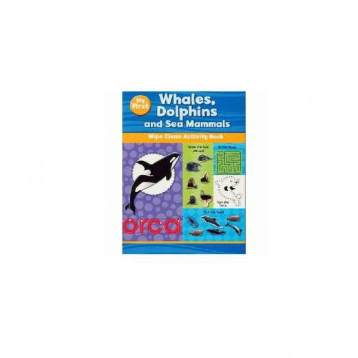 Whales Dolphins And Sea Mammals  Activity