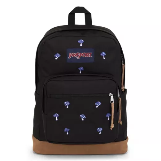 JanSport Right Pack Expressions Backpacks