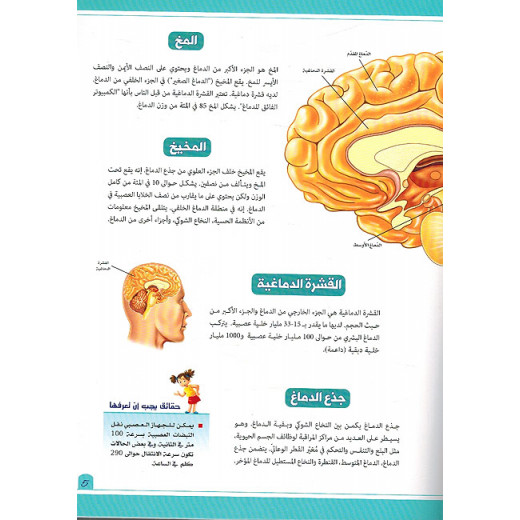 تجربة تطبيقية عن الجهاز العصبي