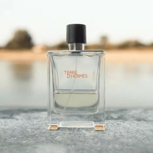 Terre D Hermes Eau De Toil 50 ml Ns