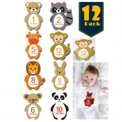 Baby Milestones Stickers