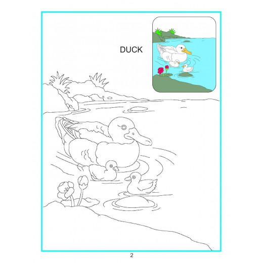 Dreamland | Creative Coloring Book | Water Animals