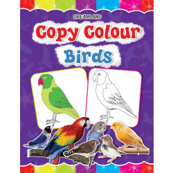 Dreamland | Copy Color | Birds