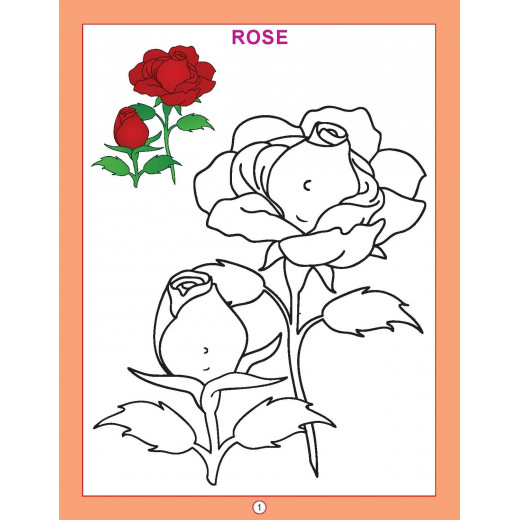 Dreamland copy color coloring book flowers