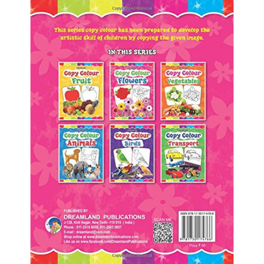 Dreamland copy color coloring book flowers