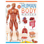 Dreamland Human Body Minipedia