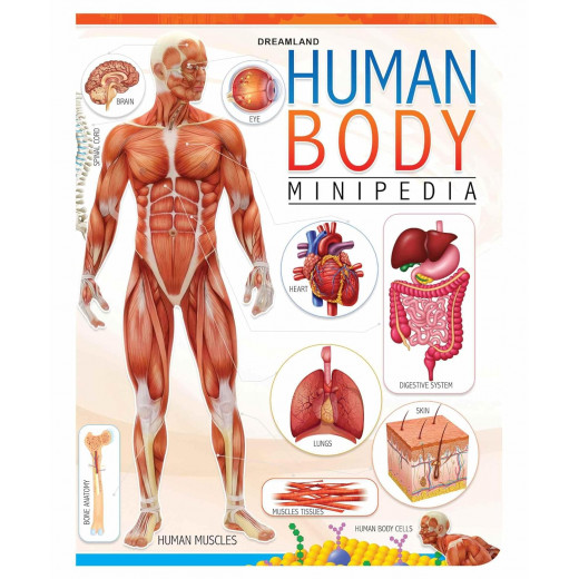 Dreamland Human Body Minipedia