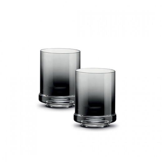 Easy Life 290ml 2-Piece Tumbler Set - Smoke Gray