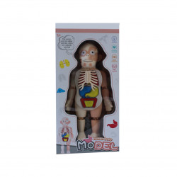 Stoys Human Body Model