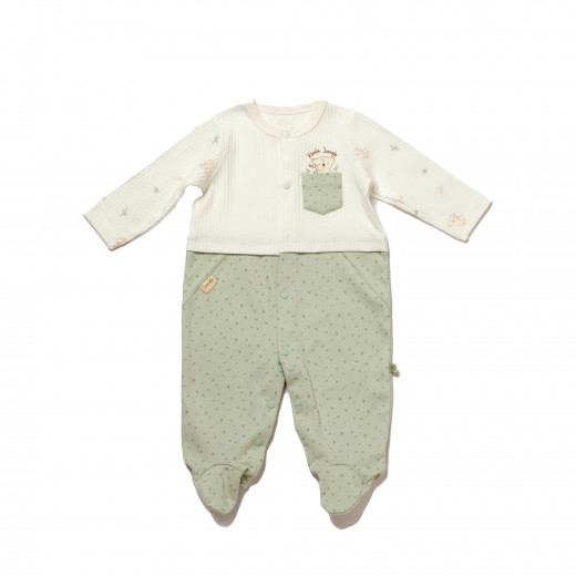 BiOrganic Koala Jungle Romper Mint (0-3 Months)