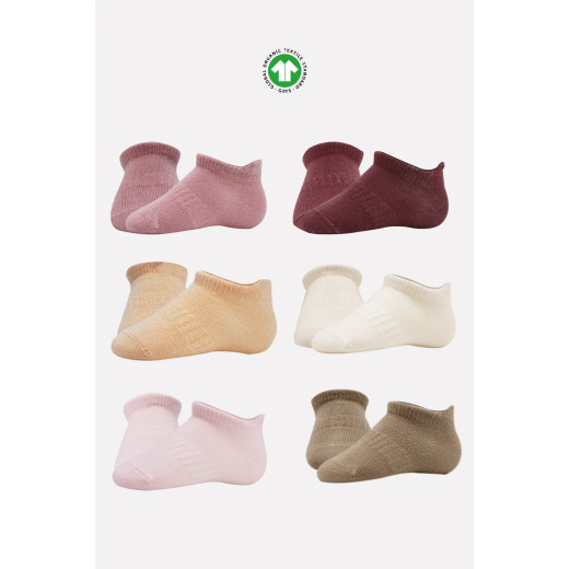 Bistyle 6-Pairs Combed Liner Socks (6-12 m) Colored