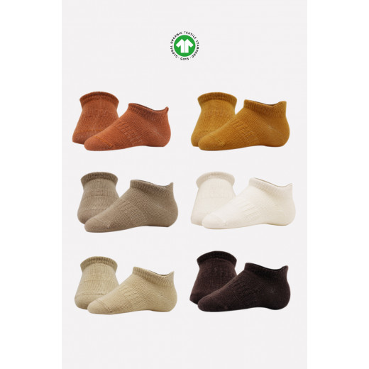 Bistyle 6-Pairs Combed Liner Socks (6-12 m) Colored