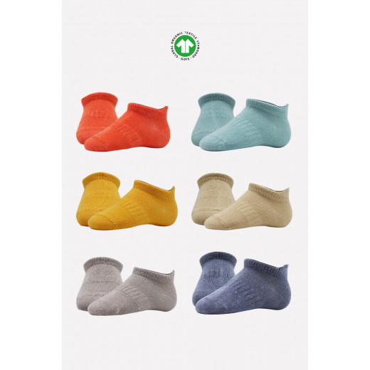 Bistyle 6-Pairs Combed Liner Socks (12-24 m) Colored