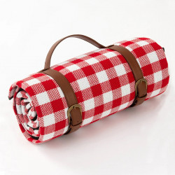 Travel Kit Picnic Mat (Red), 2m *1.5 m