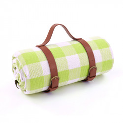 Travel Kit Picnic Mat (Light Green), 2m *1.5 m