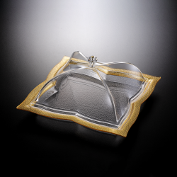 Vague Acrylic Square Dessert Serving Set Golden 35 centimeter