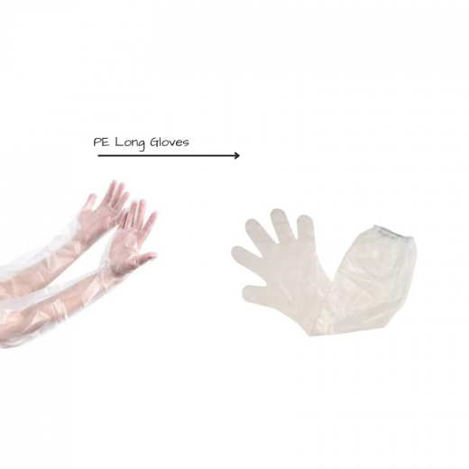 Gentle Nylon Long Gloves - Transparent - 100 Pieces